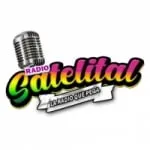 Logo da Radio Satelital 100.9 FM