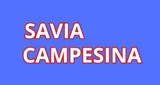 Logo da Radio Savia Campesina
