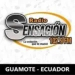 Logo da Radio Sensación 102.9 FM