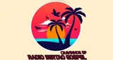 Logo da Radio Sertao Gospel FM