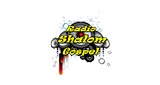 Logo da Radio Shalom Gospel