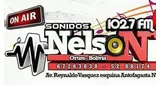 Radio Sonido Nelson