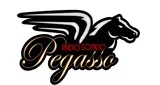 Logo da Radio Sonido Pegasso