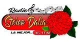 Logo da Radio Stereo Dalia 96.1 Fm