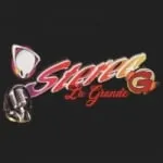 Logo da Radio Stereo G 95.3 FM