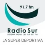 Logo da Radio Sur 91.7 FM