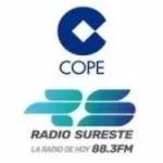 Logo da Radio Sureste 88.3 FM
