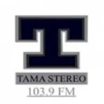 Logo da Radio Tamá Stereo 103.9 FM