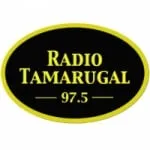 Logo da Radio Tamarugal 97.5 FM