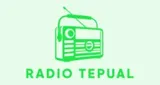 Radio Tepual