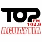 Logo da Radio Top 102.9 FM