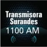 Logo da Radio Transmisora Surandes 1100 AM