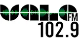 Radio Vale