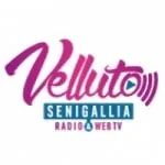 Logo da Radio Velluto 99.6 FM