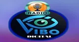 Logo da Radio Vibo Fm