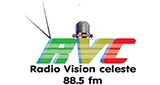 Logo da Radio Vision Celeste