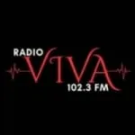 Logo da Radio Viva 102.3 FM