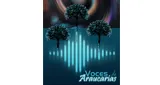 Logo da Radio Voces de Araucaria