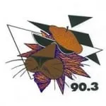 Logo da Radio WHCJ 90.3 FM