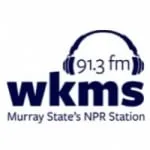 Logo da Radio WKMS 91.3 FM