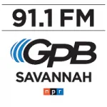 Logo da Radio WSVH GPB 91.1 FM