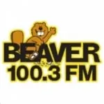 Logo da Radio WVVR Beaver 100.3 FM