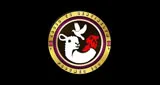 Logo da Radiotelesentinel