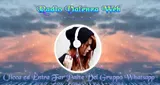 Logo da RadioValenzaWeb