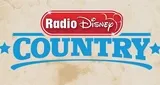 Logo da RDR Country
