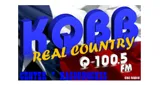 Logo da Real Country Q100