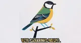 Logo da Rede Canarinho Gospel