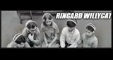 Logo da Ringard Willycat
