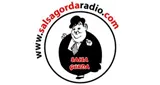 Logo da Salsagordaradio Salsa