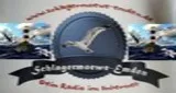 Logo da Schlagermoewe-Emden