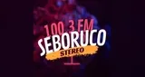 Logo da Seboruco Stereo 100.3