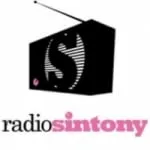 Logo da Sintony 101.1 FM