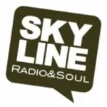 Logo da Skyline Radio & Soul 91.8 FM
