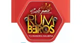 Logo da Solo Para Rumberos