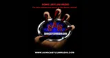 Logo da Sonic Asylum Radio