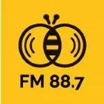 Logo da Soomba 88.7