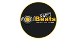 Logo da SoulBeats