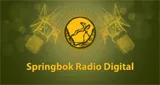 Logo da Springbok Radio