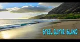 Logo da Steel Guitar Island Radio