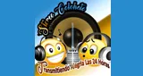 Stereo Colohete