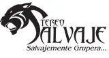 Logo da Stereo Salvaje