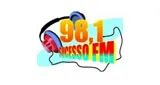 Logo da Sucesso FM 98.1