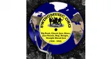 Logo da Swingmusic.org