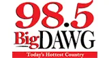 Logo da The Big Dawg