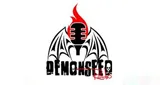 Logo da The Demon Seed Radio Network