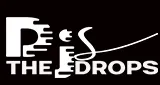 Logo da THE DROPS DJS